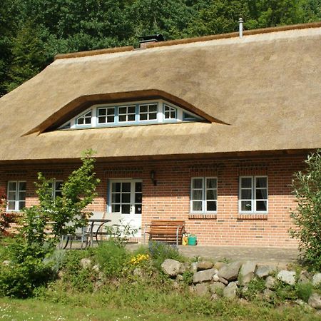 Premiumwohnung im Biosphärenreservat Vilmnitz Exterior foto